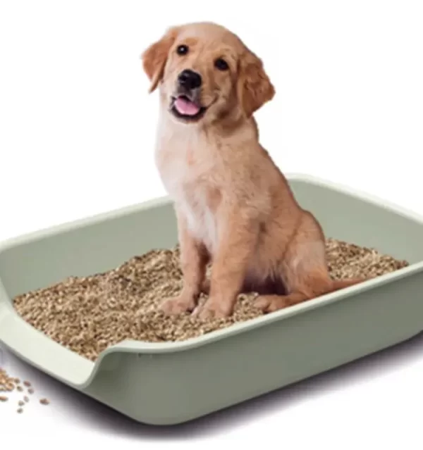 dog litter at Paws & Claws Pets