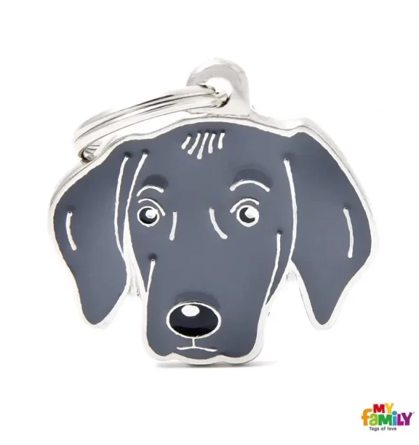 Border Collie Name Tag