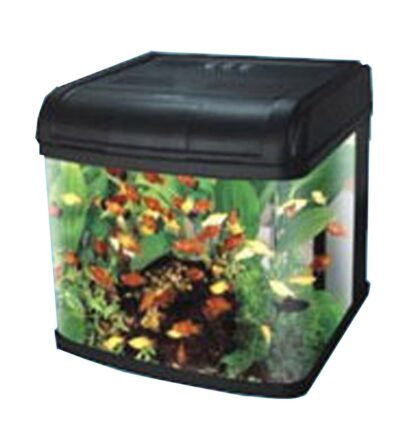 Compact Aquarium - Dream fish tank
