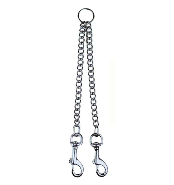 Two Snaps Dog Chain