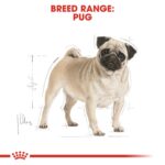 Royal Canin Breed Health Nutrition Pug Adult 1.5 kg Royal Canin Breed Health Nutrition Pug Adult 1.5 kg