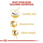 Royal Canin Breed Health Nutrition Pug Adult 1.5 kg Royal Canin Breed Health Nutrition Pug Adult 1.5 kg