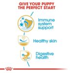 Royal Canin Breed Health Nutrition Pug Puppy 1.5 kg Royal Canin Breed Health Nutrition Pug Puppy 1.5 kg