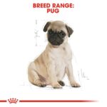 Royal Canin Breed Health Nutrition Pug Puppy 1.5 kg Royal Canin Breed Health Nutrition Pug Puppy 1.5 kg