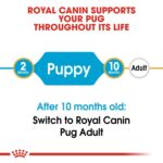 Royal Canin Breed Health Nutrition Pug Puppy 1.5 kg Royal Canin Breed Health Nutrition Pug Puppy 1.5 kg