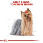 Royal Canin Breed Health Nutrition Yorkshire Adult 1.5 kg