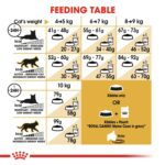 Royal Canin Feline Breed Nutrition Maine Coon Adult 2 kg