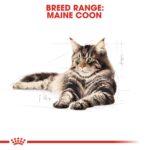Royal Canin Feline Breed Nutrition Maine Coon Adult 2 kg