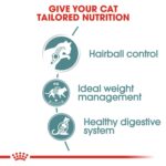 Royal Canin Feline Care Nutrition Hairball Gravy (Wet Food – Pouches) 12 x 85 g