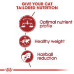 Royal Canin Feline Health Nutrition Fit 32 – 4 kg Royal Canin Feline Health Nutrition Fit 32 – 4 kg