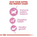 Royal Canin Feline Health Nutrition Kitten 10 kg