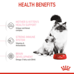Royal Canin Feline Health Nutrition Mother and Babycat 2 kg Royal Canin Feline Health Nutrition Mother and Babycat 2 kg