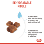 Royal Canin Feline Health Nutrition Mother and Babycat 2 kg Royal Canin Feline Health Nutrition Mother and Babycat 2 kg