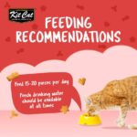 Kit Cat Kitty Crunch Beef Flavor 60g Kit Cat Kitty Crunch Beef Flavor 60g