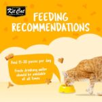 Kit Cat Kitty Crunch Chicken Flavor 60g Kit Cat Kitty Crunch Chicken Flavor 60g