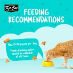 Kit Cat Kitty Crunch Lamb Flavor 60g