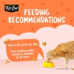 Kit Cat Kitty Crunch Salmon Flavor 60g Kit Cat Kitty Crunch Salmon Flavor 60g