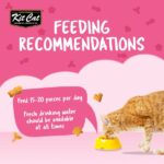 Kit Cat Kitty Crunch Tuna Flavor 60g Kit Cat Kitty Crunch Tuna Flavor 60g