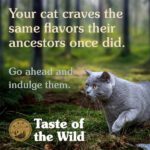 Taste of the Wild Rocky Mountain Feline Recipe 85gr