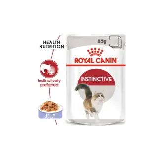 royal canin instinctive adult food in jelly in dubai