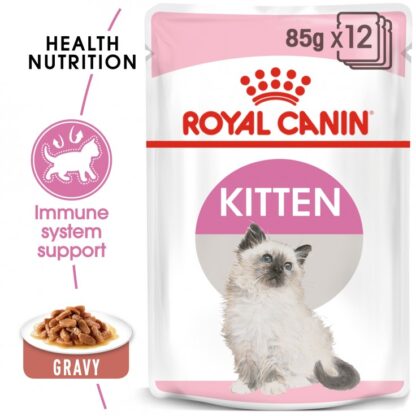 royal canin kitten wet food gravy at paws and claws pets dubai mirdif