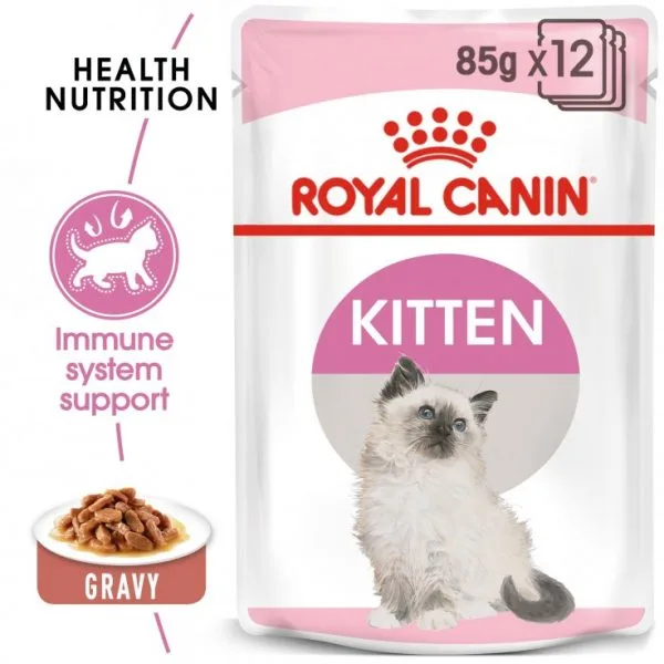 royal canin kitten wet food gravy at paws and claws pets dubai mirdif