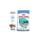 mini-starter-1kg-royal-canin