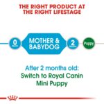 Royal Canin Size Health Nutrition Mini Starter 1 kg