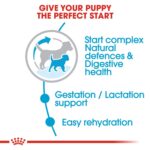Royal Canin Size Health Nutrition Mini Starter 1 kg