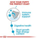 Royal Canin Size Health Nutrition Medium Puppy (Wet Food – Pouches) 10 x 140 g