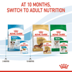 Royal Canin Size Health Nutrition Mini Puppy (Wet Food – Pouches) 12 x 85 g