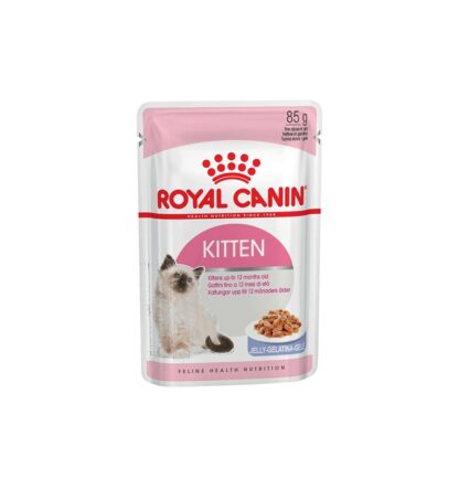 wet kitten food in dubai orderonline at paws & claws pets aka P&C