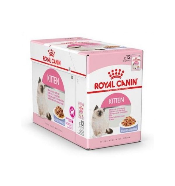 wet kitten food in dubai at Paws&Clawspets