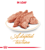 Royal Canin Feline Breed Nutrition Persian (Wet Food – Pouches) 85 g