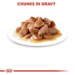 Royal Canin Feline Health Nutrition Ageing 12+ Gravy (Wet Food – Pouches) 12 x 85 g
