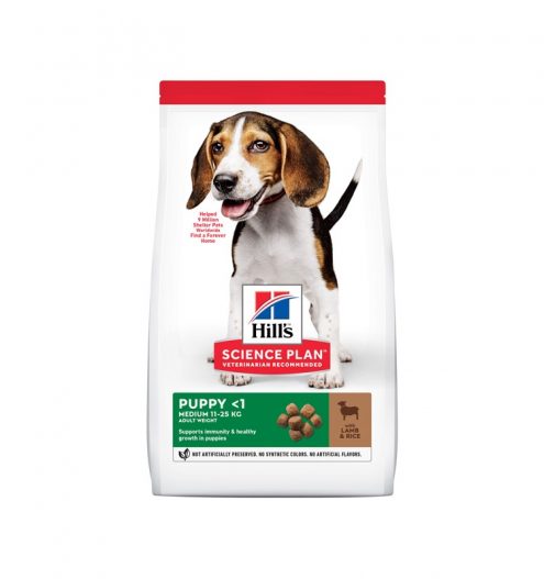 Hill's Scinece Plan Puppy Medium with Lamb & Rice @Paws & CLaws Pets