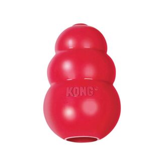durable dog toy at P&C, super-chewy, bouncy and completely safe for dogs