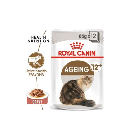 RC Ageing 12+ Wet Food in Dubai Mirdif at Paws & Claws Pets