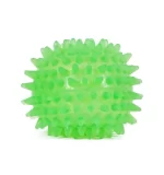 Super Spiky Dog Ball Toy