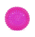 Super Spiky Dog Ball Toy