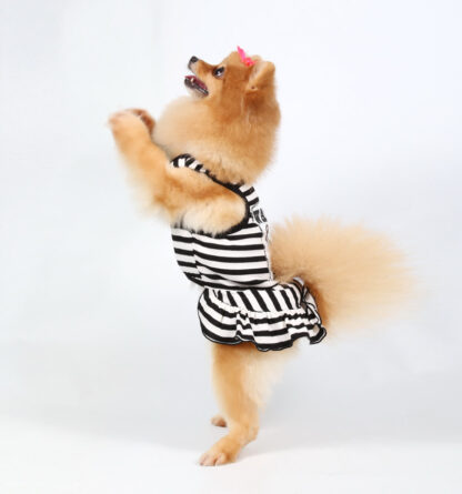 wanted girl dog outfit stripy suit that is breathable, stylish, cheeky and fun