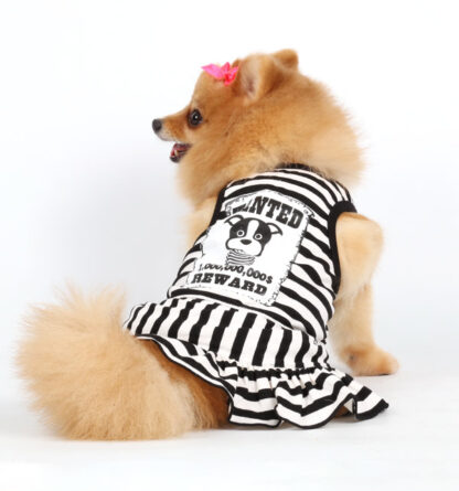 wanted girl dog outfit is a criminally Cute, perfect option for a cute costume or funky outfit for your pooch