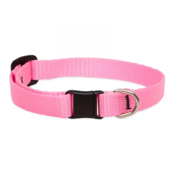 Lupine Basic Solids Safety Cat Collar Without Bell
