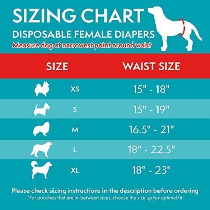 Simple Solution Dog Diapers Chart