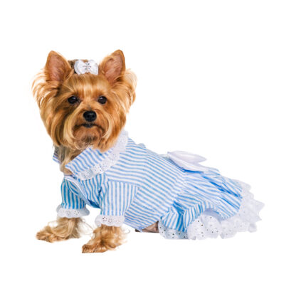 candy-striped-dog-dress-D436-Dog_02