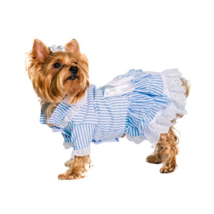 candy-striped-dog-dress-D436-Dog_03