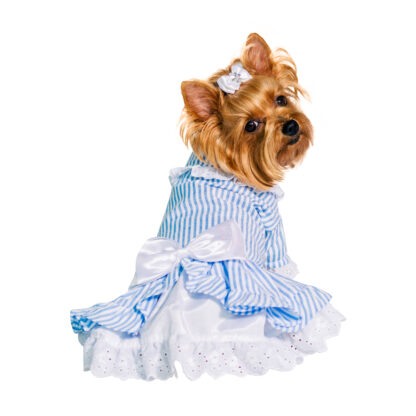 candy-striped-dog-dress-D436-Dog_04