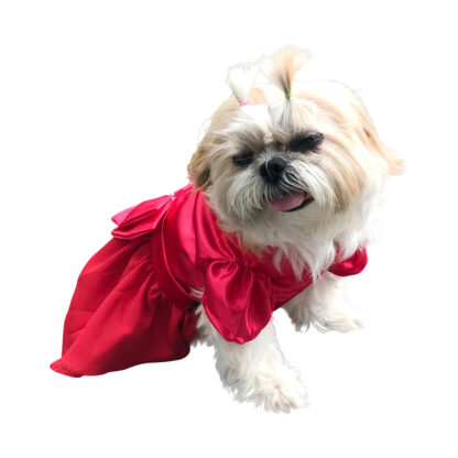 ivory-red-dog-dress-with-pearls-D443-DOG2