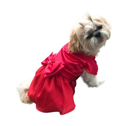 ivory-red-dog-dress-with-pearls-D443-DOG3