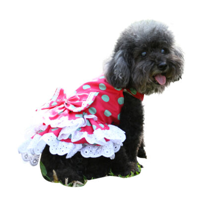 pretty-dog-dress-polka-dot-D347-DOG3